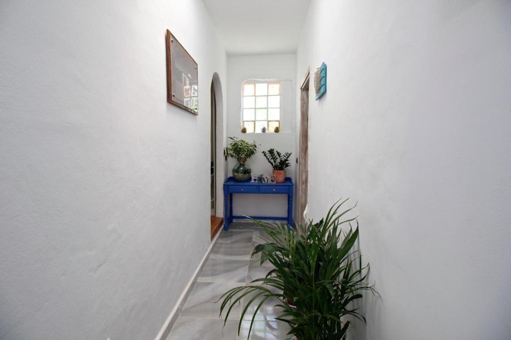 Villa Alto Arena Piscina Privada Climatizada Ingenio Bagian luar foto